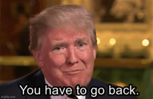 You Have to Go Back | image tagged in you have to go back | made w/ Imgflip meme maker
