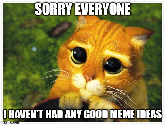 Sorry Kitty | SORRY EVERYONE; I HAVEN'T HAD ANY GOOD MEME IDEAS | image tagged in sorry kitty | made w/ Imgflip meme maker