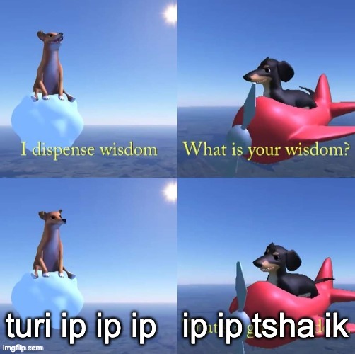 turi ip ip ip | ip ip tsha ik; turi ip ip ip | image tagged in wisdom dog | made w/ Imgflip meme maker