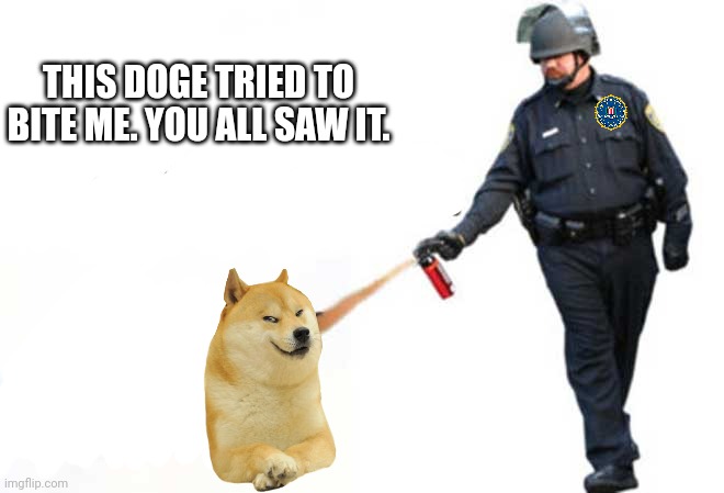Where's your dog? | THIS DOGE TRIED TO BITE ME. YOU ALL SAW IT. | image tagged in fbi | made w/ Imgflip meme maker