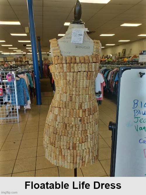 Where were these when the Titanic went down?? |  Floatable Life Dress | image tagged in life saver,life preserver,cork,funny,memes,wine | made w/ Imgflip meme maker