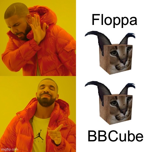 Drake Hotline Bling Meme | Floppa; BBCube | image tagged in memes,drake hotline bling | made w/ Imgflip meme maker