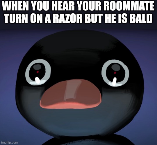 What's he shaving? | WHEN YOU HEAR YOUR ROOMMATE TURN ON A RAZOR BUT HE IS BALD | image tagged in pingu stare,deez nuts | made w/ Imgflip meme maker