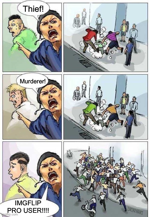 Thief Murderer | Thief! Murderer! IMGFLIP PRO USER!!!! | image tagged in thief murderer | made w/ Imgflip meme maker