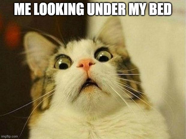 hello monster under my bed | ME LOOKING UNDER MY BED | image tagged in memes,scared cat,bed,monster | made w/ Imgflip meme maker