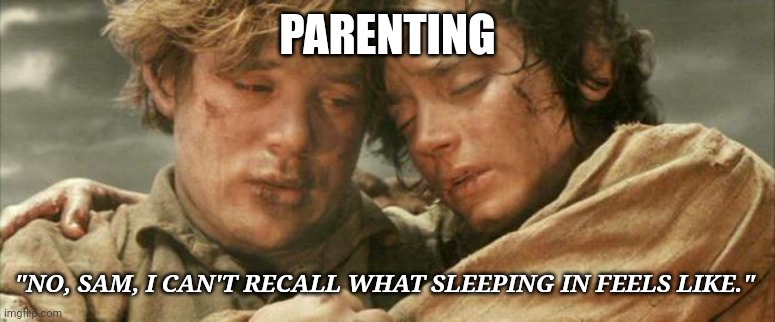 frodo and sam after destroying the ring | PARENTING; "NO, SAM, I CAN'T RECALL WHAT SLEEPING IN FEELS LIKE." | image tagged in frodo and sam after destroying the ring | made w/ Imgflip meme maker
