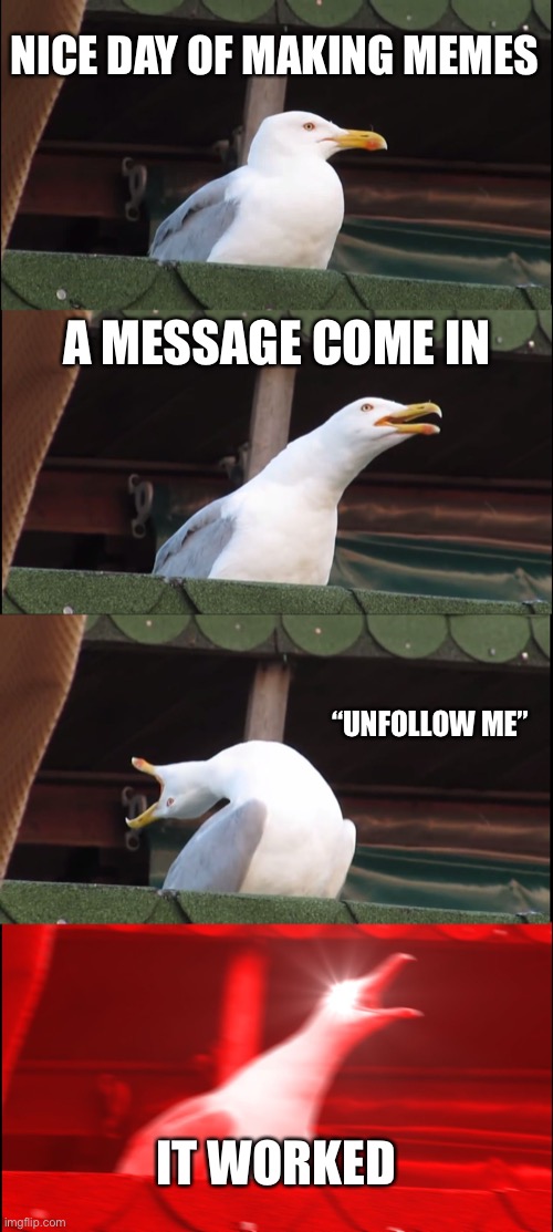 pls don’t send hate | NICE DAY OF MAKING MEMES; A MESSAGE COME IN; “UNFOLLOW ME”; IT WORKED | image tagged in memes,inhaling seagull | made w/ Imgflip meme maker