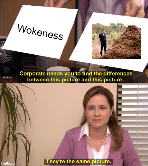 They're The Same Picture Meme | Wokeness | image tagged in memes,they're the same picture | made w/ Imgflip meme maker