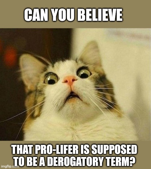 Feeble minded leftist never think about the dumb shit they say | CAN YOU BELIEVE; THAT PRO-LIFER IS SUPPOSED TO BE A DEROGATORY TERM? | image tagged in memes,scared cat | made w/ Imgflip meme maker