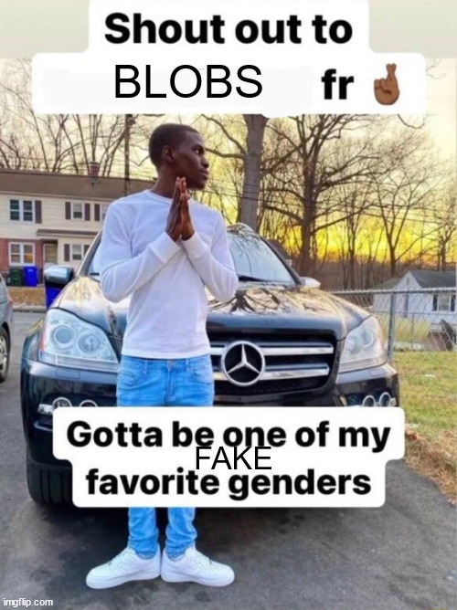 Shout out to.... Gotta be one of my favorite genders | BLOBS; FAKE | image tagged in shout out to gotta be one of my favorite genders | made w/ Imgflip meme maker