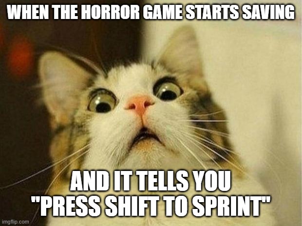 oh no. | WHEN THE HORROR GAME STARTS SAVING; AND IT TELLS YOU "PRESS SHIFT TO SPRINT" | image tagged in memes,scared cat | made w/ Imgflip meme maker