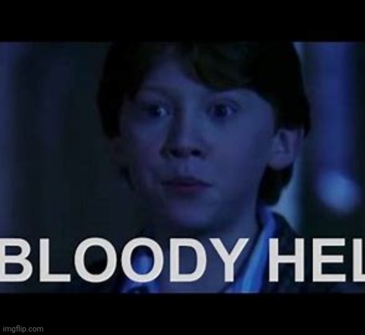 bloody hell ron weasley | image tagged in bloody hell ron weasley | made w/ Imgflip meme maker