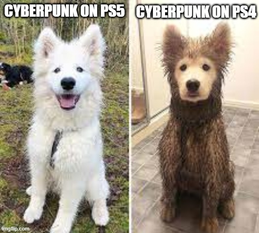 cyberfunk | image tagged in dogs | made w/ Imgflip meme maker