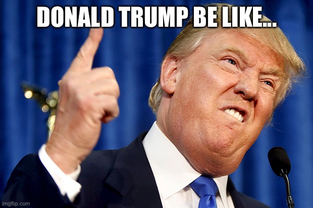Trump | DONALD TRUMP BE LIKE... | image tagged in donald trump | made w/ Imgflip meme maker