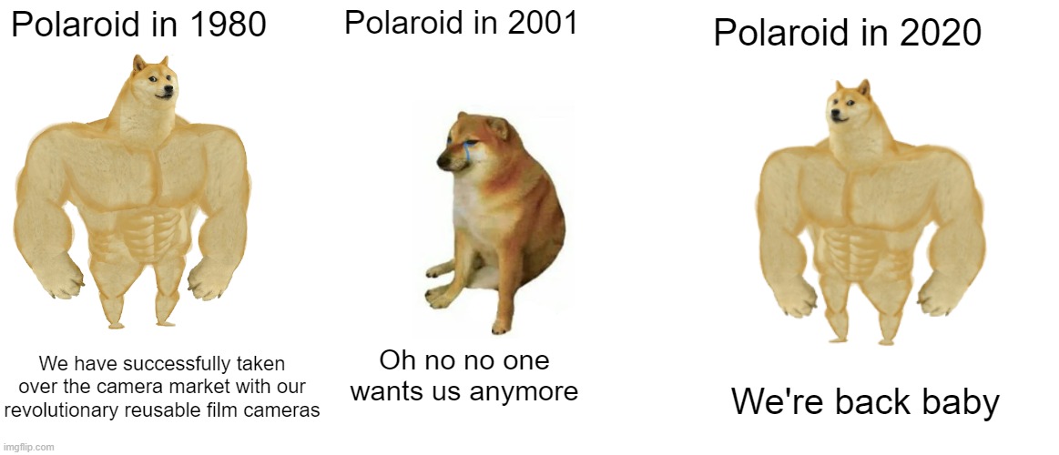 I think this is too niche for this site | Polaroid in 2020; Polaroid in 1980; Polaroid in 2001; We have successfully taken over the camera market with our revolutionary reusable film cameras; Oh no no one wants us anymore; We're back baby | image tagged in memes,buff doge vs cheems,polaroid | made w/ Imgflip meme maker