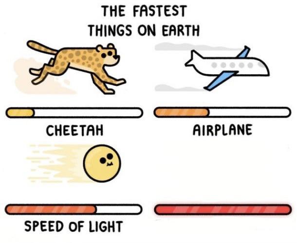 The fastest things on earth: cheetah, airplane, speed of light, Blank Meme Template