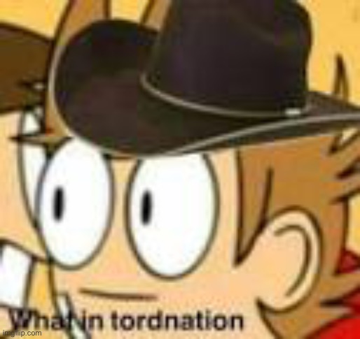 Yes | image tagged in what in tarnation | made w/ Imgflip meme maker