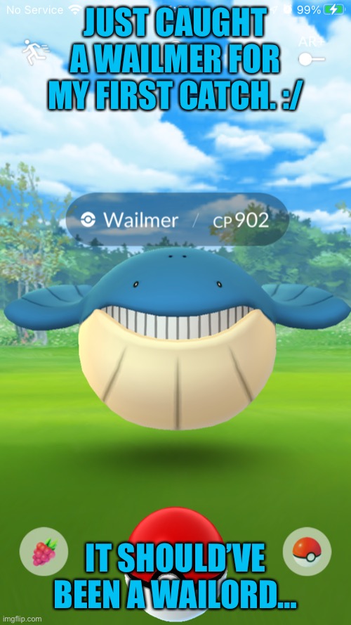 JUST CAUGHT A WAILMER FOR MY FIRST CATCH. :/ IT SHOULD’VE BEEN A WAILORD… | made w/ Imgflip meme maker