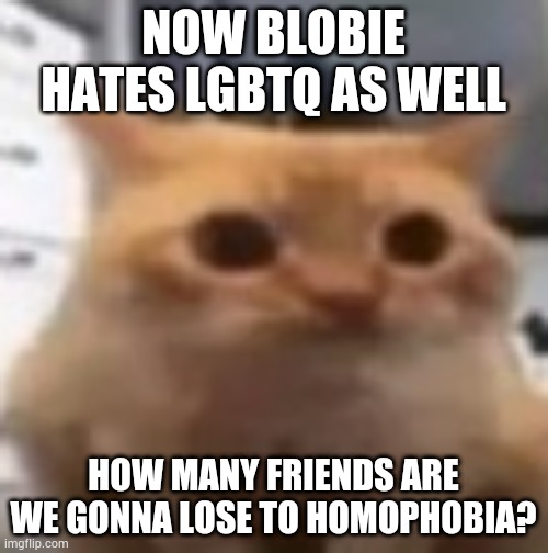 spoingus | NOW BLOBIE HATES LGBTQ AS WELL; HOW MANY FRIENDS ARE WE GONNA LOSE TO HOMOPHOBIA? | image tagged in spoingus | made w/ Imgflip meme maker