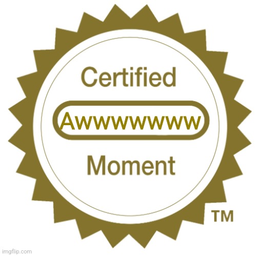 Certified Blank Moment | Awwwwwww | image tagged in certified blank moment | made w/ Imgflip meme maker