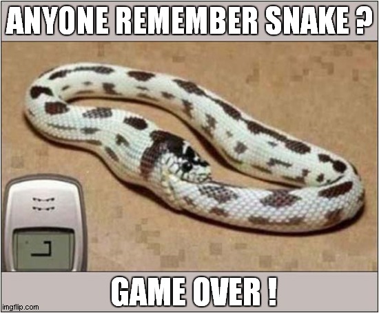 The Nokia Phone Game ! | ANYONE REMEMBER SNAKE ? GAME OVER ! | image tagged in fun,nokia,game,snake,game over | made w/ Imgflip meme maker