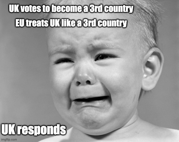 Brexit | UK votes to become a 3rd country; EU treats UK like a 3rd country; UK responds | image tagged in crying child,brexit | made w/ Imgflip meme maker