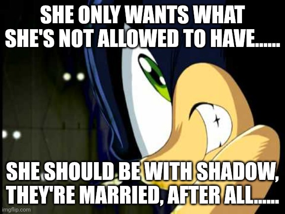 Dark Sonic | SHE ONLY WANTS WHAT SHE'S NOT ALLOWED TO HAVE...... SHE SHOULD BE WITH SHADOW, THEY'RE MARRIED, AFTER ALL...... | image tagged in dark sonic | made w/ Imgflip meme maker