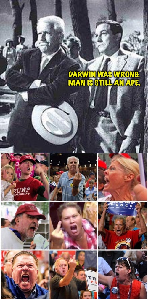 Inherit The Wind | DARWIN WAS WRONG.

MAN IS STILL AN APE. | image tagged in triggered trump supporters | made w/ Imgflip meme maker