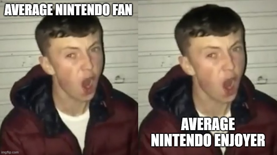 I see no difference | AVERAGE NINTENDO FAN; AVERAGE NINTENDO ENJOYER | image tagged in average fan vs average enjoyer | made w/ Imgflip meme maker