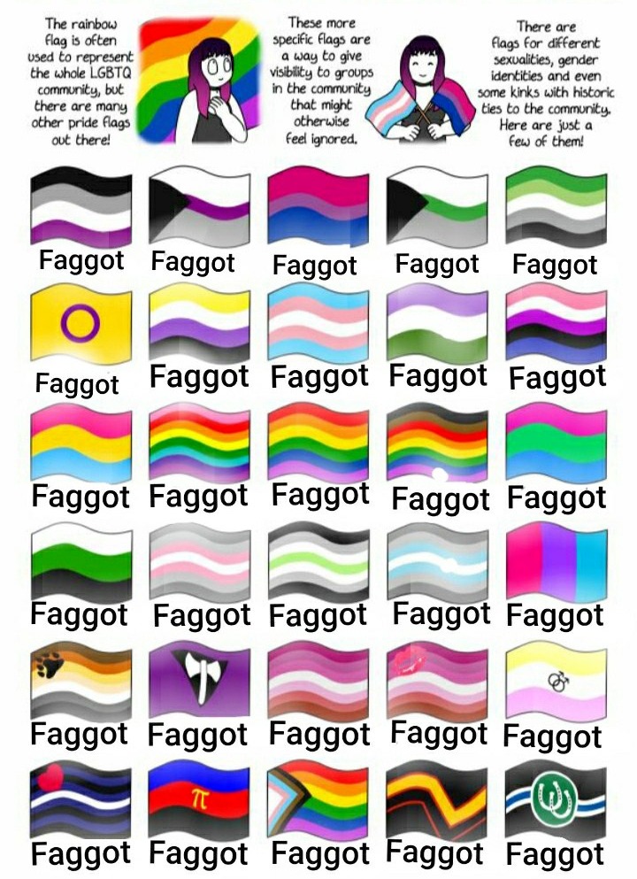 Guide To Pride Flags Lets Go Bully The Queers Month Imgflip 