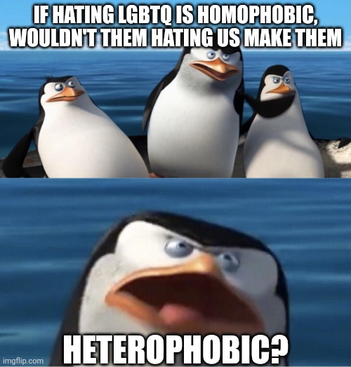 Wouldn't that make you | IF HATING LGBTQ IS HOMOPHOBIC, WOULDN'T THEM HATING US MAKE THEM; HETEROPHOBIC? | image tagged in wouldn't that make you | made w/ Imgflip meme maker