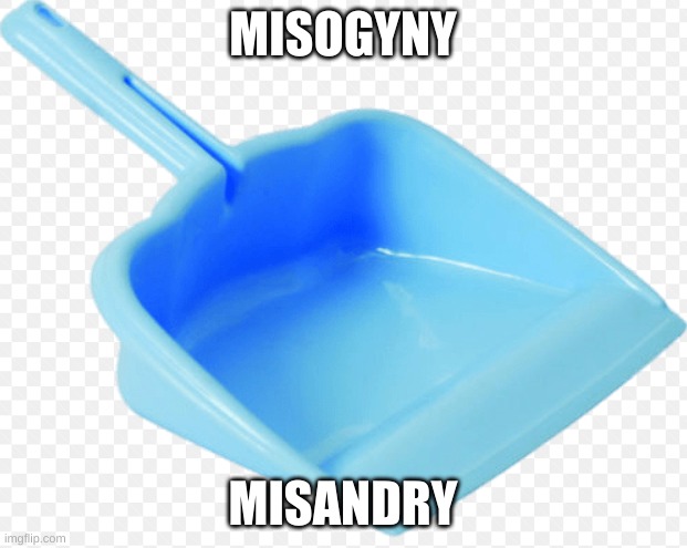 please put me in a medically induced coma | MISOGYNY; MISANDRY | image tagged in dustpan | made w/ Imgflip meme maker