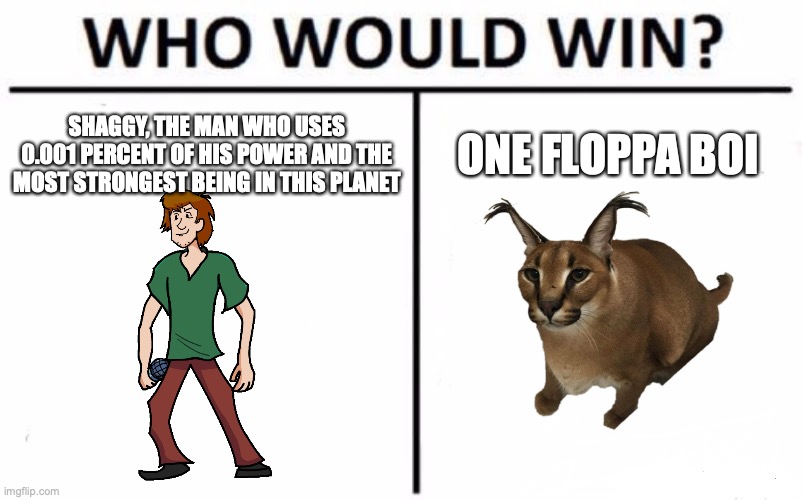 I think flop | SHAGGY, THE MAN WHO USES 0.001 PERCENT OF HIS POWER AND THE MOST STRONGEST BEING IN THIS PLANET; ONE FLOPPA BOI | image tagged in memes,who would win | made w/ Imgflip meme maker