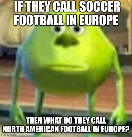 What is it called? | IF THEY CALL SOCCER FOOTBALL IN EUROPE; THEN WHAT DO THEY CALL NORTH AMERICAN FOOTBALL IN EUROPE? | image tagged in sully wazowski | made w/ Imgflip meme maker