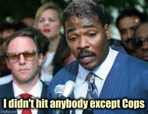 Rodney King | I didn't hit anybody except Cops | image tagged in rodney king | made w/ Imgflip meme maker