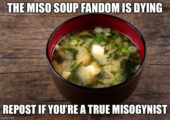 THE MISO SOUP FANDOM IS DYING; REPOST IF YOU’RE A TRUE MISOGYNIST | made w/ Imgflip meme maker