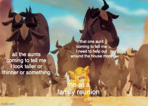 those rare family reunions that only happen when I go to hk | that one aunt coming to tell me I need to help out around the house more; all the aunts coming to tell me I look taller or thinner or something; me at a family reunion | image tagged in lion king stampede | made w/ Imgflip meme maker