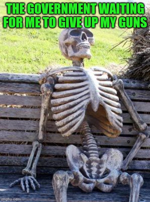 THE GOVERNMENT WAITING FOR ME TO GIVE UP MY GUNS | made w/ Imgflip meme maker