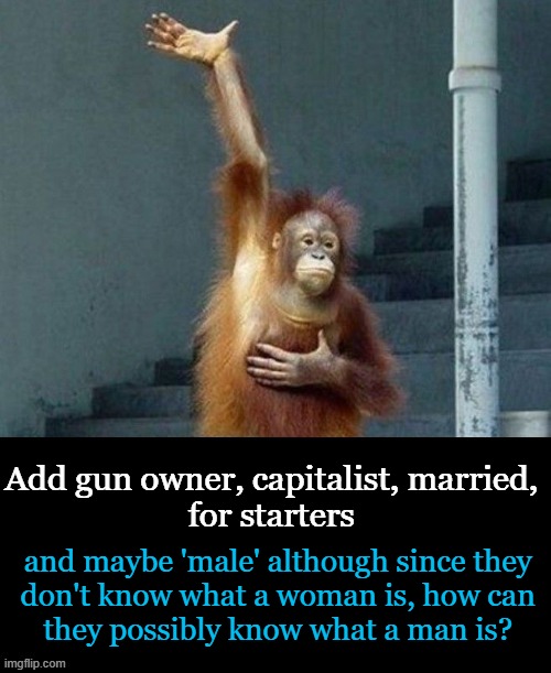 Add gun owner, capitalist, married, 
for starters and maybe 'male' although since they 
don't know what a woman is, how can 
they possibly k | made w/ Imgflip meme maker