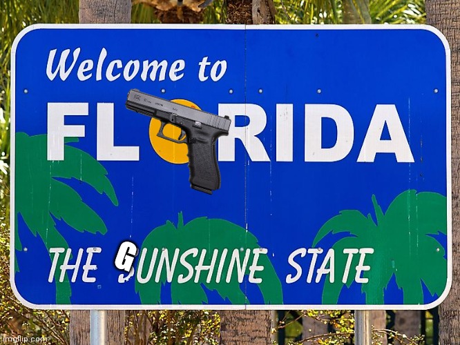 Welcome to Florida | G | image tagged in welcome to florida,the gunshine state,florida memes,gun memes,politics,gun control memes | made w/ Imgflip meme maker