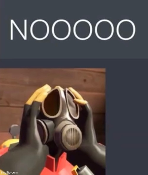 Pyro NOOOOO | image tagged in pyro nooooo | made w/ Imgflip meme maker