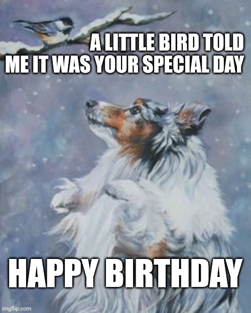 Sheltie Birthday | A LITTLE BIRD TOLD ME IT WAS YOUR SPECIAL DAY; HAPPY BIRTHDAY | image tagged in sheltie,birthday,little bird | made w/ Imgflip meme maker