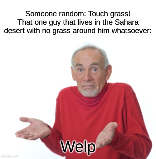Guess I'll die  | Someone random: Touch grass!
That one guy that lives in the Sahara desert with no grass around him whatsoever:; Welp | image tagged in guess i'll die | made w/ Imgflip meme maker