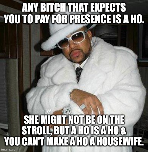pimp c | ANY BITCH THAT EXPECTS YOU TO PAY FOR PRESENCE IS A HO. SHE MIGHT NOT BE ON THE STROLL, BUT A HO IS A HO & YOU CAN'T MAKE A HO A HOUSEWIFE. | image tagged in pimp c | made w/ Imgflip meme maker