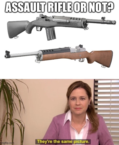 ASSAULT RIFLE OR NOT? | made w/ Imgflip meme maker