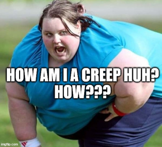 To My Dear Little Troll | image tagged in fat girl,really fat girl,loser,losers,troll,creep | made w/ Imgflip meme maker