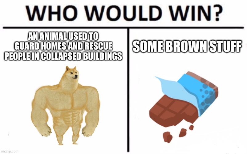 Funny | AN ANIMAL USED TO GUARD HOMES AND RESCUE PEOPLE IN COLLAPSED BUILDINGS; SOME BROWN STUFF | image tagged in memes,who would win,lol,funny | made w/ Imgflip meme maker