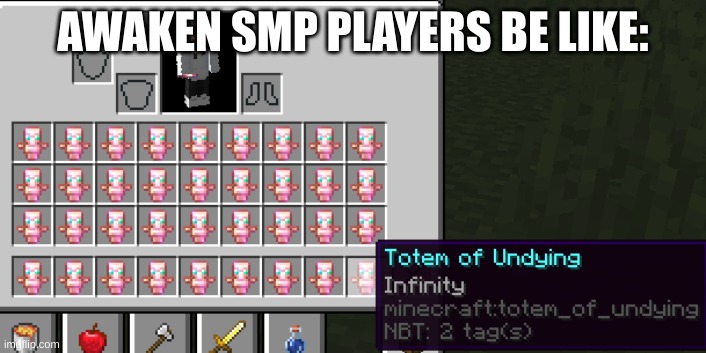 kind of true tho | AWAKEN SMP PLAYERS BE LIKE: | image tagged in minecraft | made w/ Imgflip meme maker
