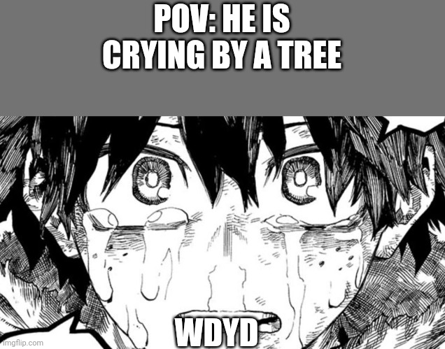 POV: HE IS CRYING BY A TREE; WDYD | made w/ Imgflip meme maker