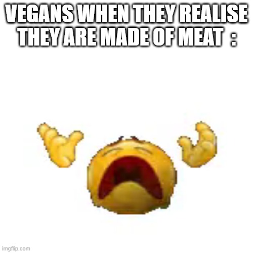 by the way I'm not trying to disrespect any vegans out there this is just a meme |  VEGANS WHEN THEY REALISE THEY ARE MADE OF MEAT  : | image tagged in vegans,meme,meat,nooooo | made w/ Imgflip meme maker